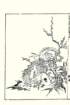 photo19_small.jpg