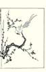photo23_small.jpg