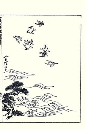 photo24.jpg