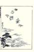 photo24_small.jpg