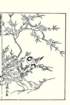 photo29_small.jpg