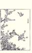 photo4_small.jpg