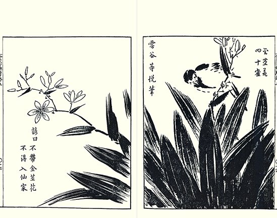 photo13.jpg