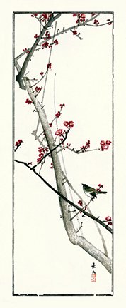 photo5.jpg