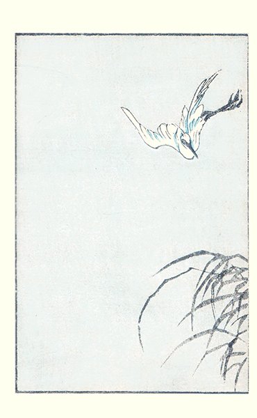 photo14.jpg