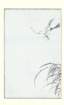 photo14_small.jpg