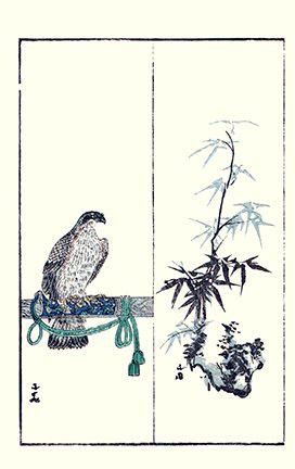 photo10.jpg
