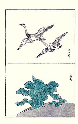 photo8.jpg