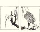 photo15_small.jpg