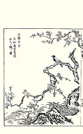 photo7.jpg