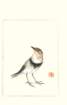photo15_small.jpg