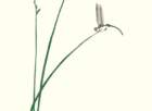photo10_small.jpg