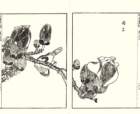 photo7_small.jpg