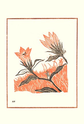 photo28.jpg