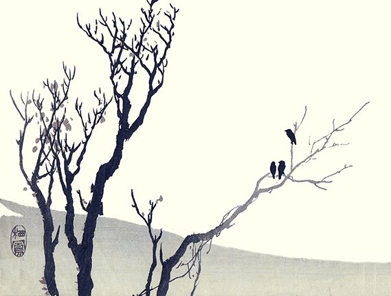 photo22.jpg