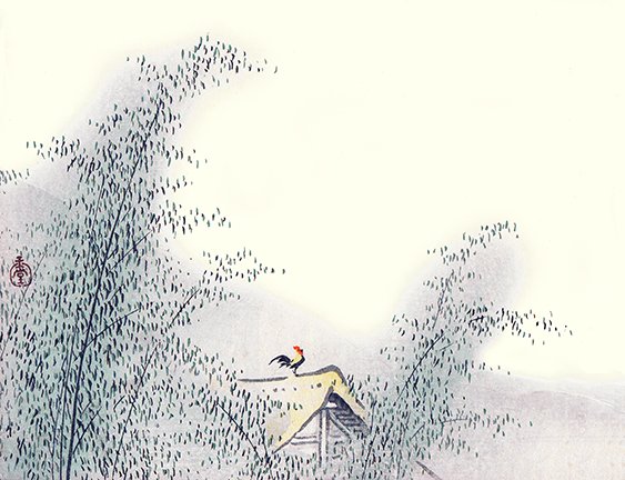 photo26.jpg