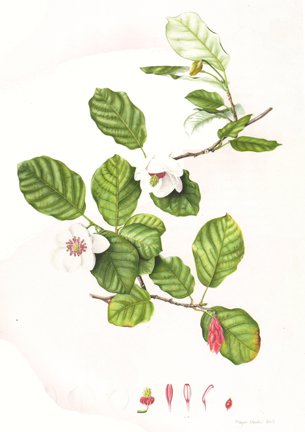 photo10.jpg