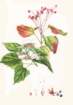 photo12_small.jpg