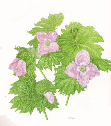 photo13.jpg