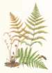 photo14_small.jpg