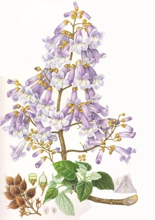 photo21.jpg