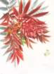 photo22_small.jpg