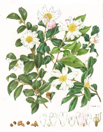 photo25.jpg