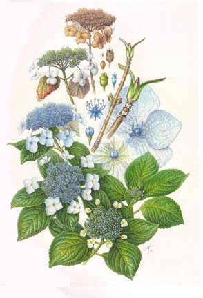 photo31.jpg