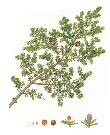 photo41.jpg