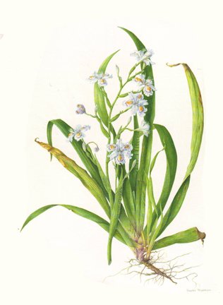 photo43.jpg