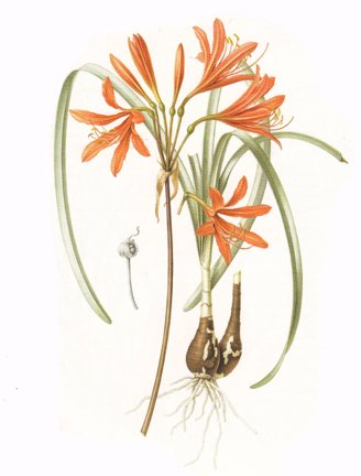 photo55.jpg