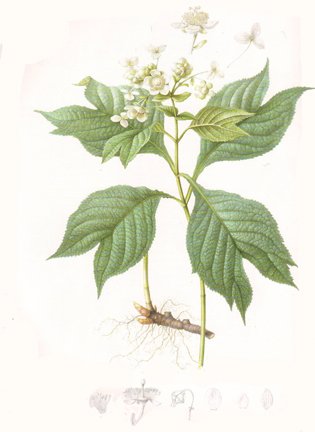 photo57.jpg