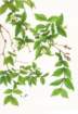 photo60_small.jpg