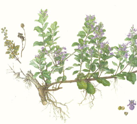photo66.jpg