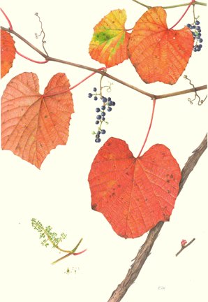 photo7.jpg