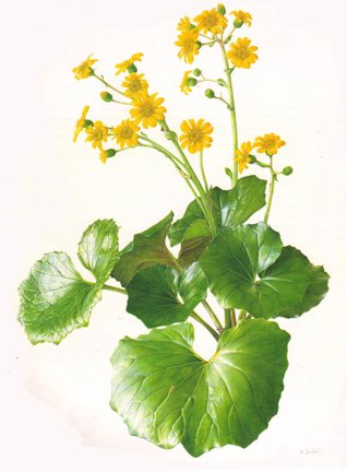 photo77.jpg