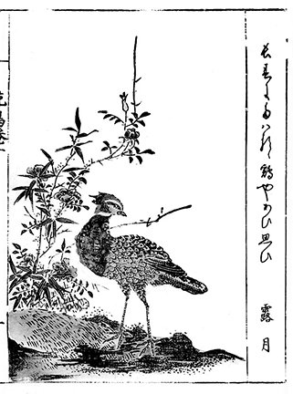 photo13.jpg