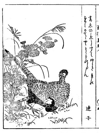 photo27.jpg