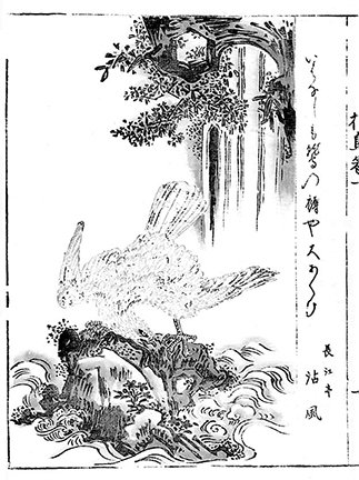 photo3.jpg