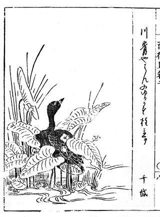 photo31.jpg