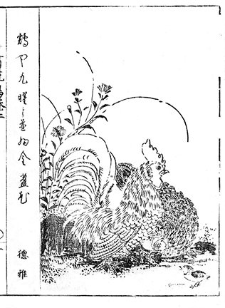 photo33.jpg