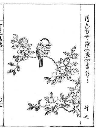 photo52.jpg