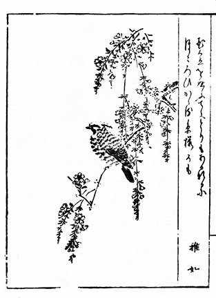 photo54.jpg