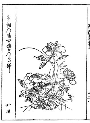 photo61.jpg