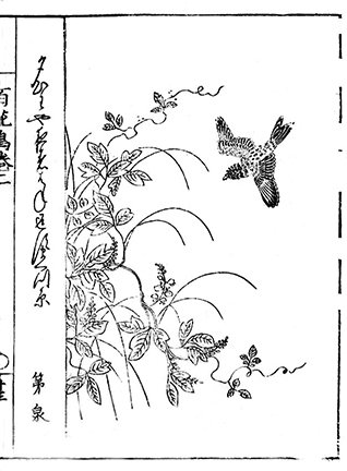 photo67.jpg
