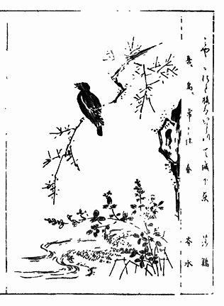 photo80.jpg