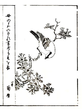 photo83.jpg
