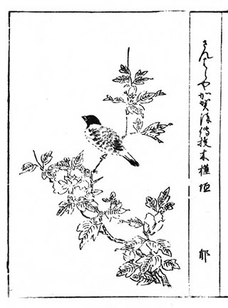 photo86.jpg