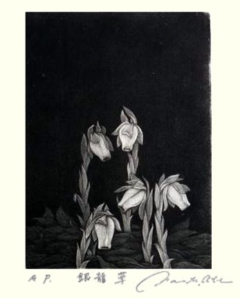 photo13.jpg