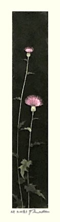 photo2.jpg